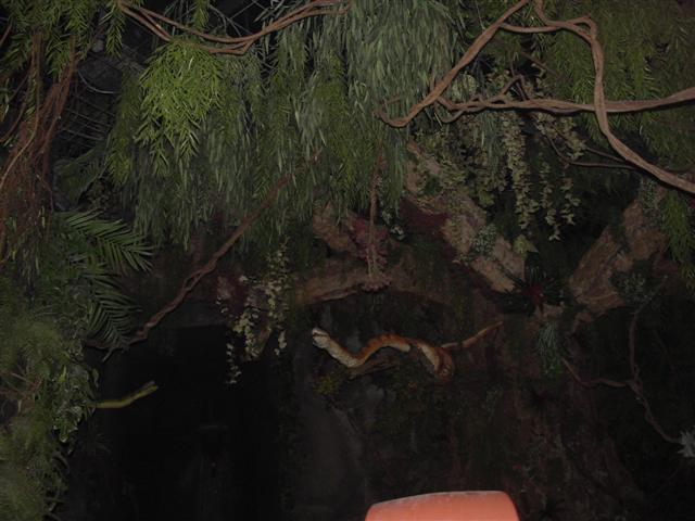 dsc00698.jpg