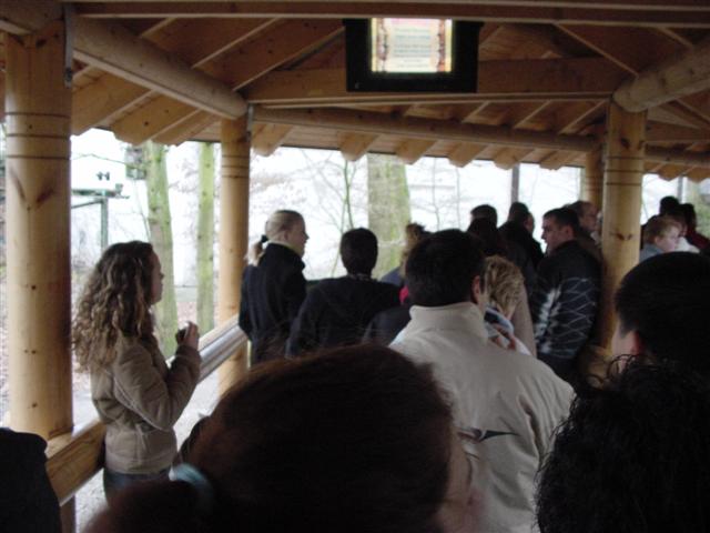 dsc00702.jpg