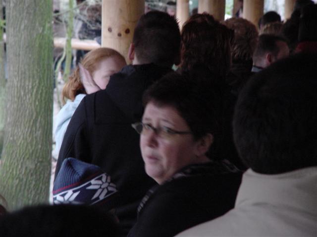 dsc00703.jpg