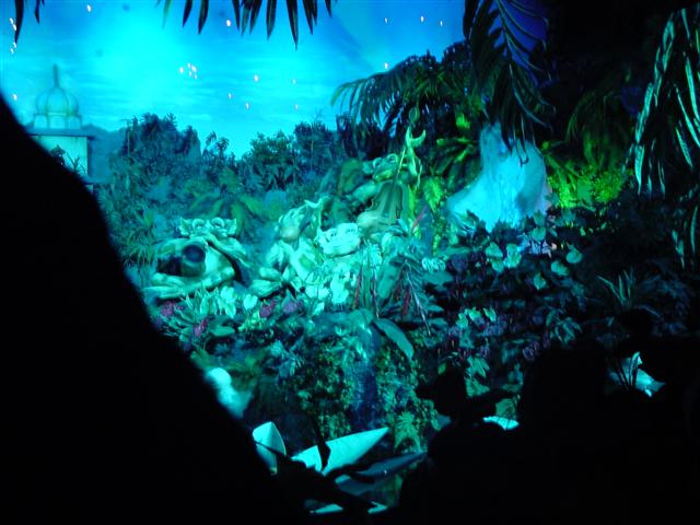 dsc00732.jpg