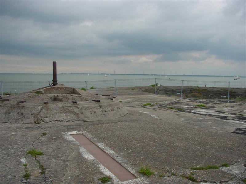 dsc00339.jpg