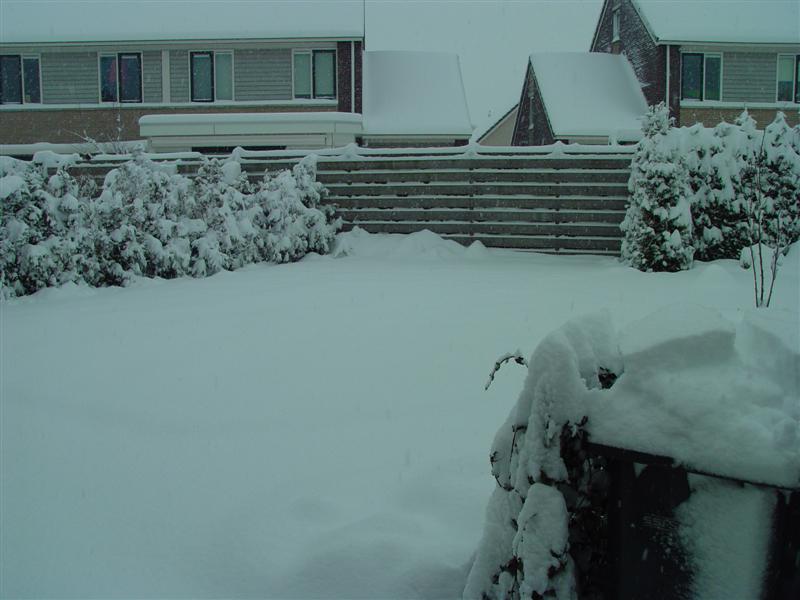 ../image/dsc03125.jpg