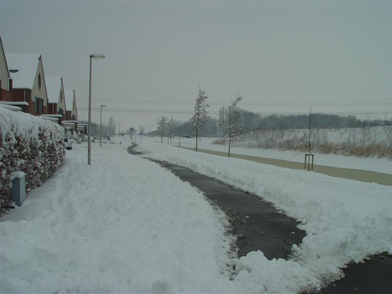 ../image/dsc03144.jpg