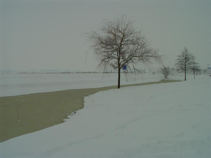 ../image/dsc03145.jpg