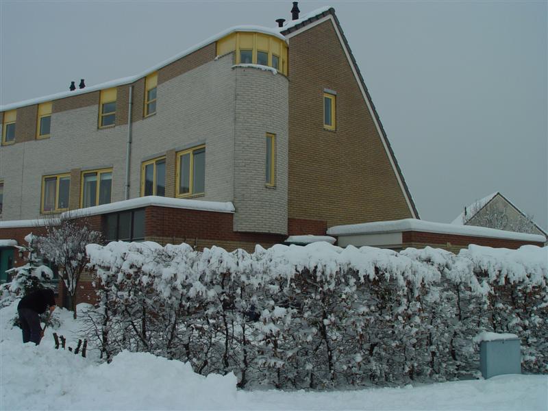 ../image/dsc03149.jpg