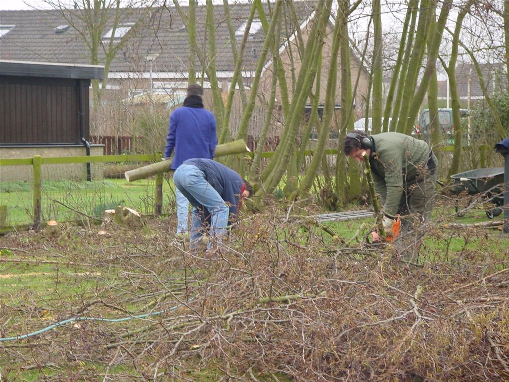 dsc00833.jpg