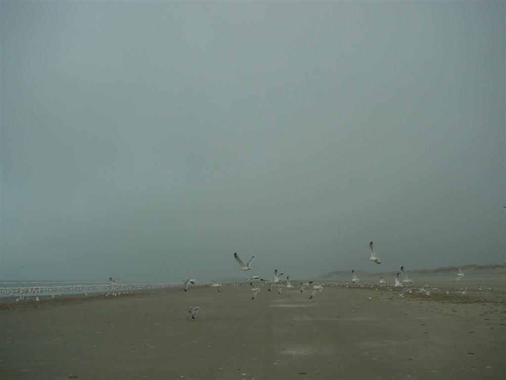 dsc00839.jpg