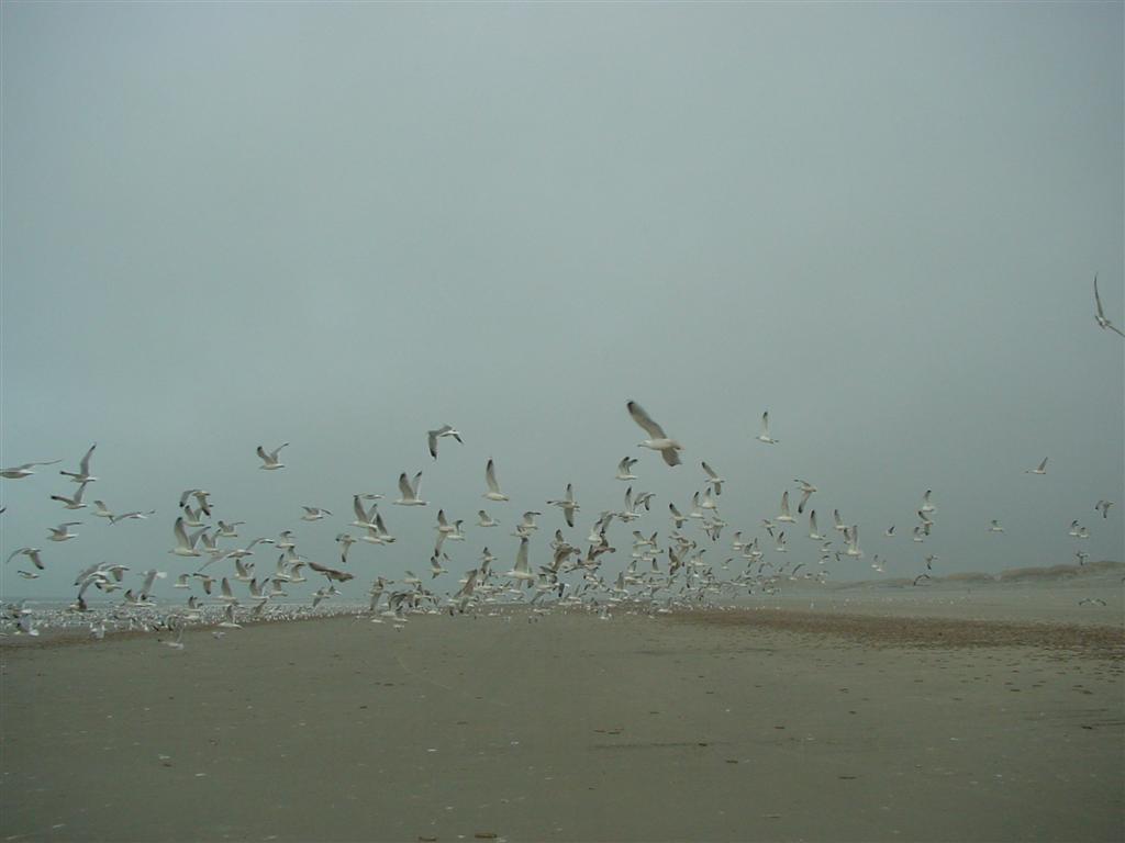dsc00840.jpg