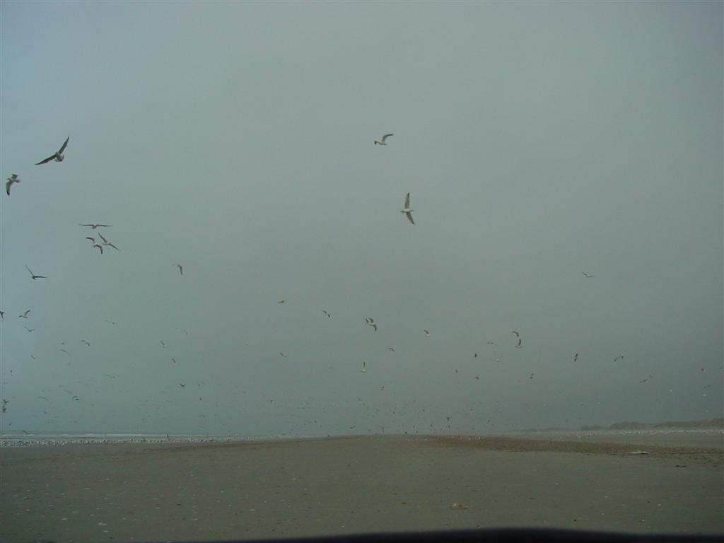 dsc00841.jpg