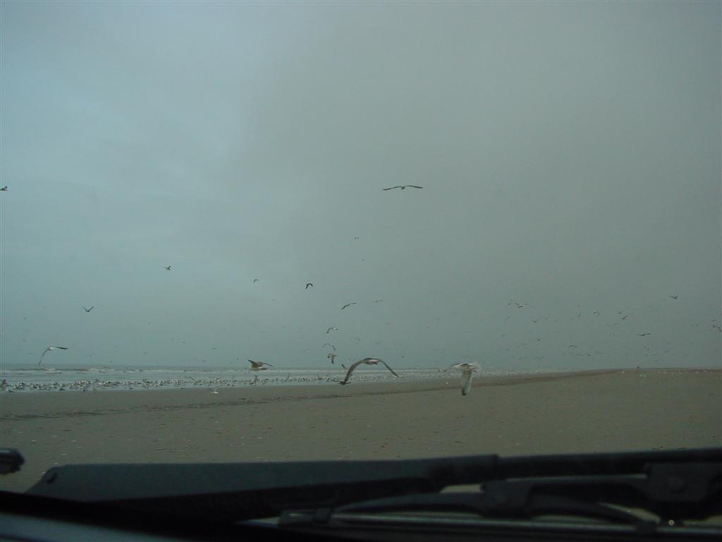 dsc00842.jpg