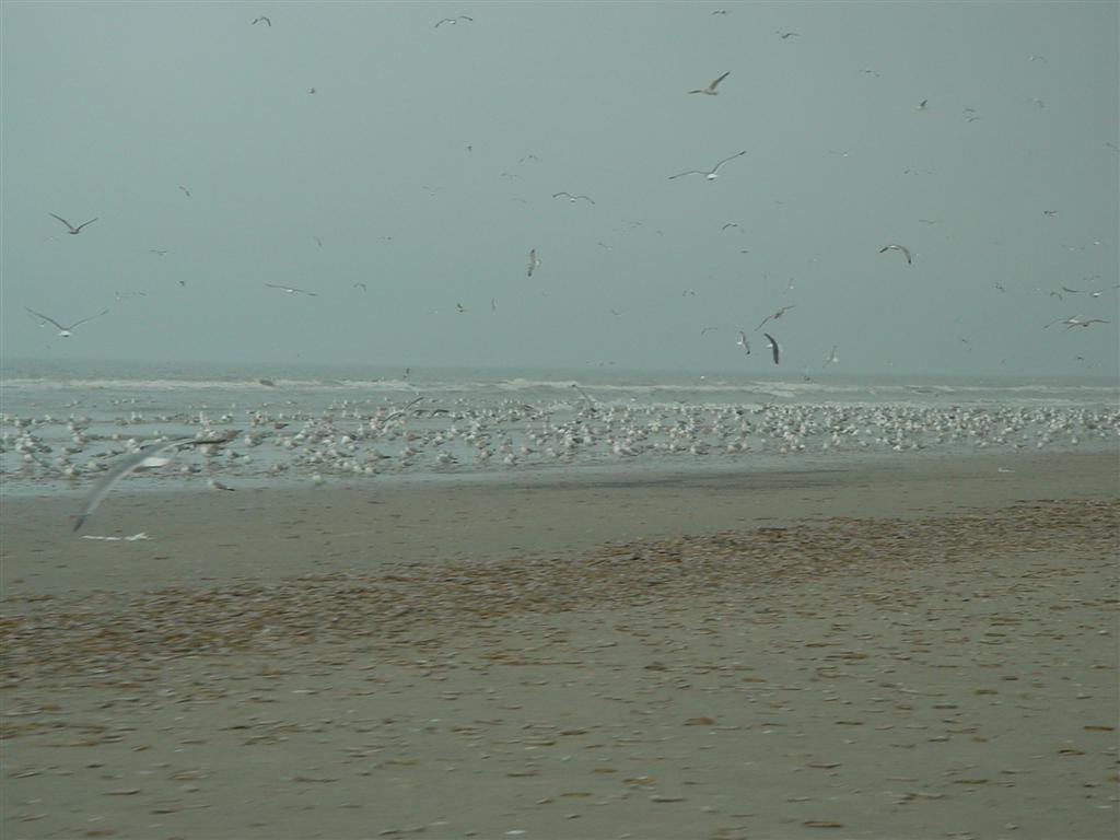 dsc00843.jpg
