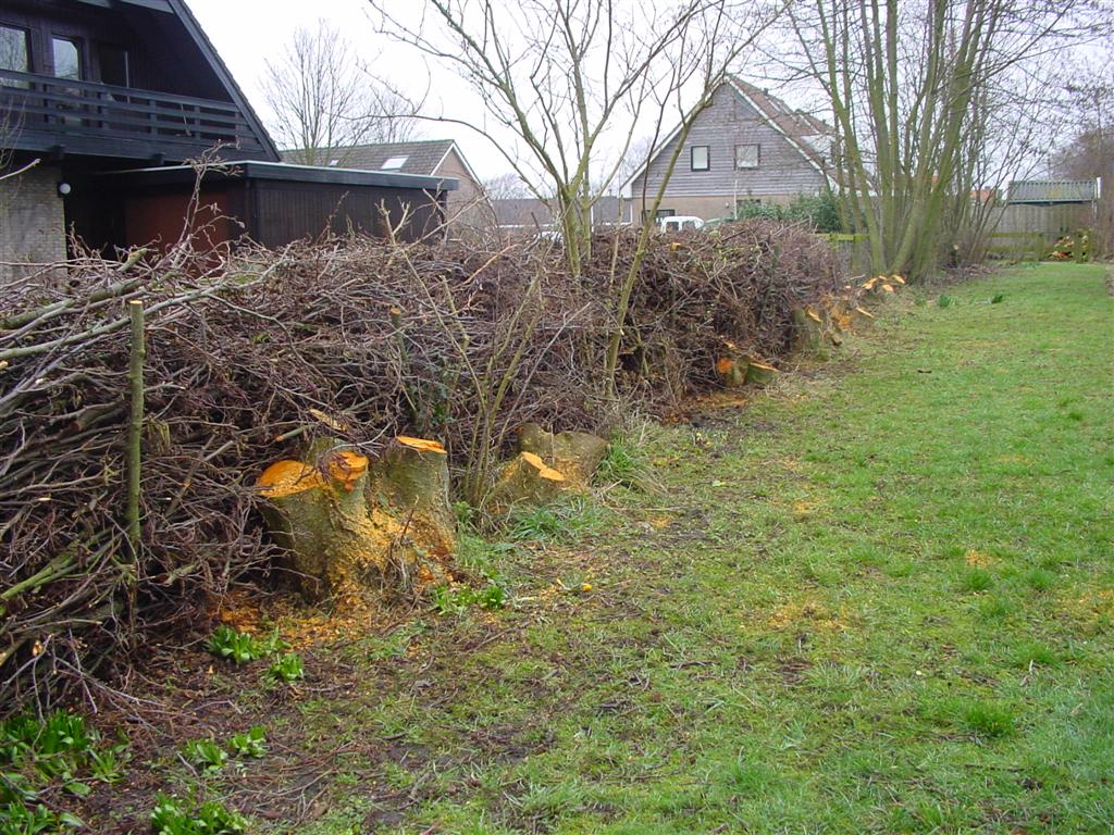 dsc00845.jpg
