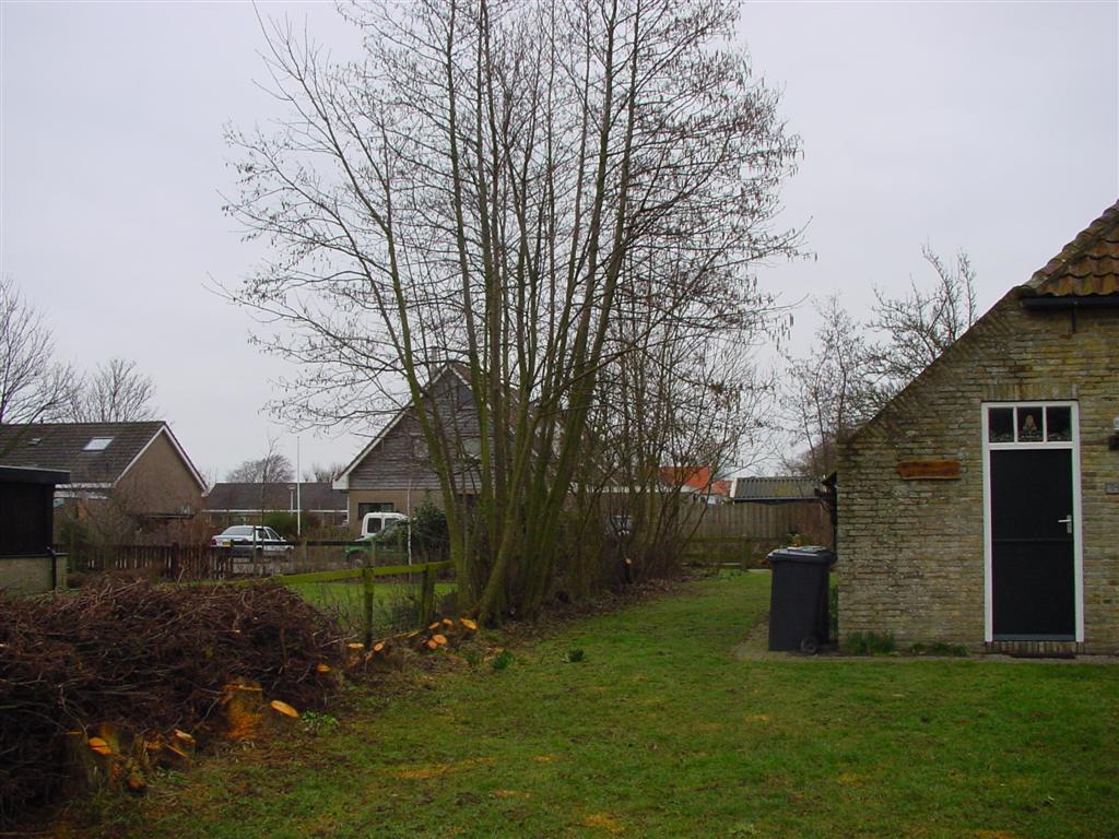 dsc00846.jpg