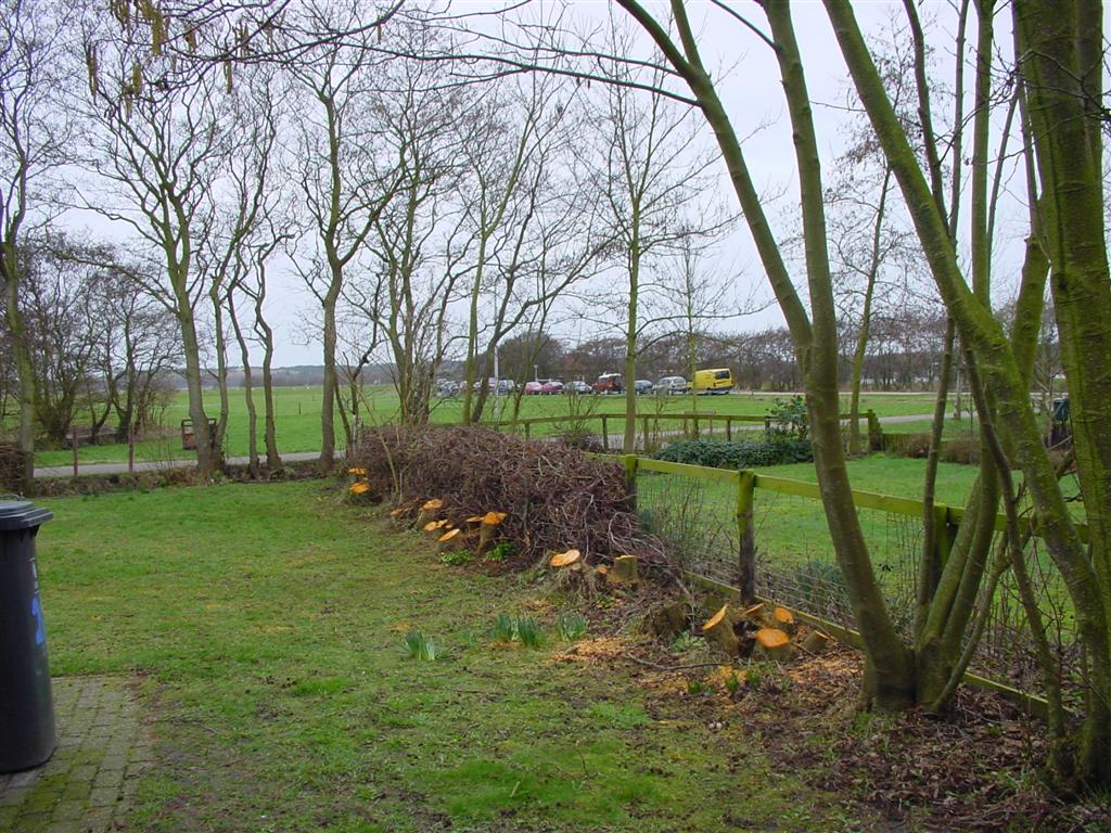 dsc00847.jpg