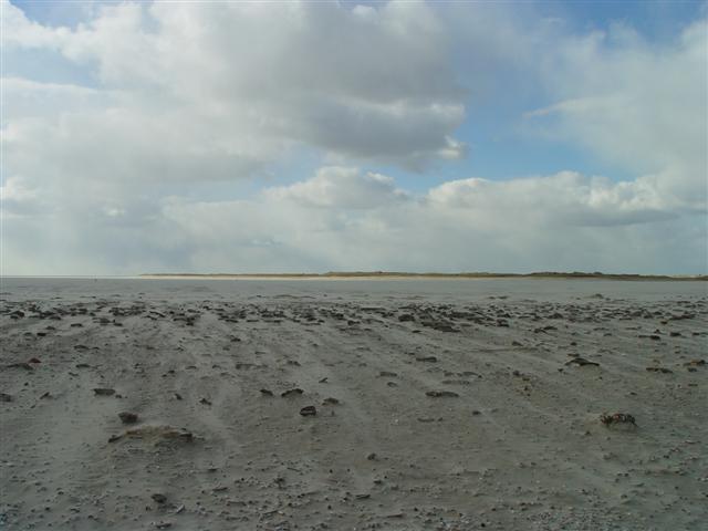 ../image/dsc03100.jpg