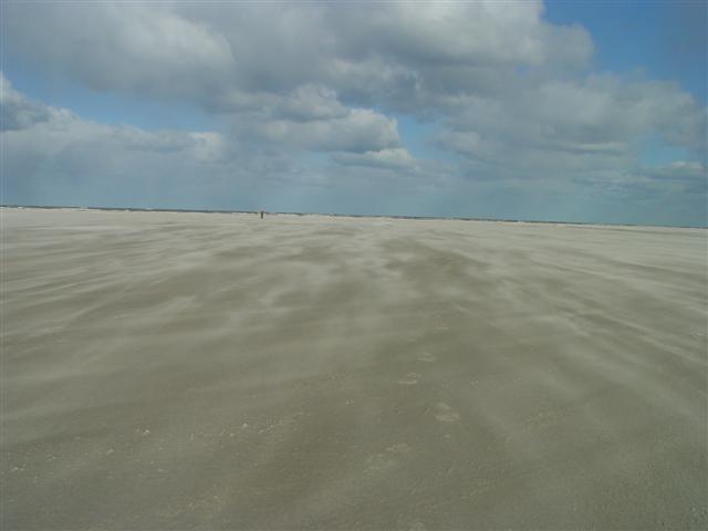 ../image/dsc03109.jpg