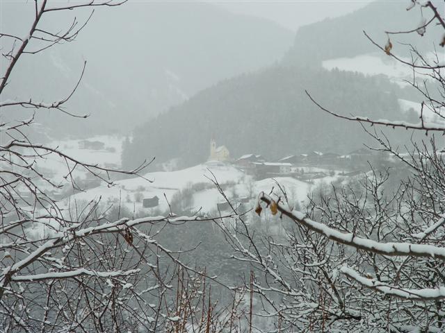 ../image/dsc03001.jpg